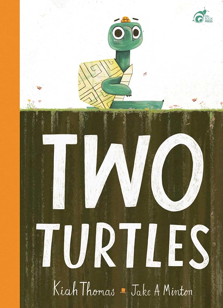 Two Turtles – Pictura Children’s Book Shop